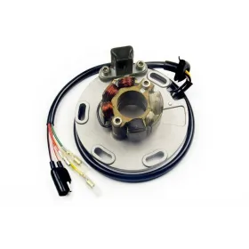 Stator Allumage Eclairage Suzuki RM125 RM250