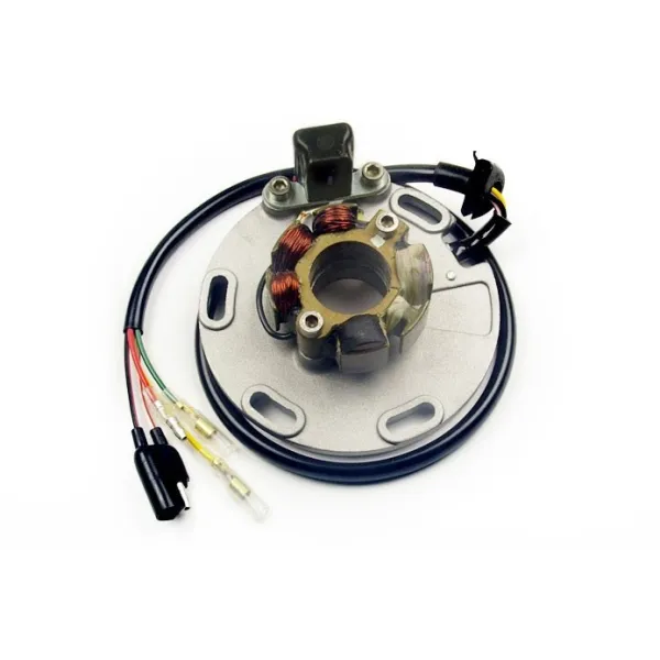 Stator Allumage Eclairage Suzuki RM125 RM250