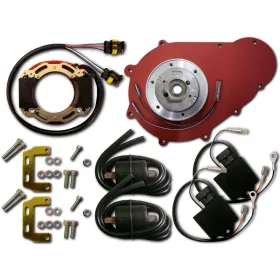 Allumage Stator Rotor Bobine CDI Suzuki GS1000