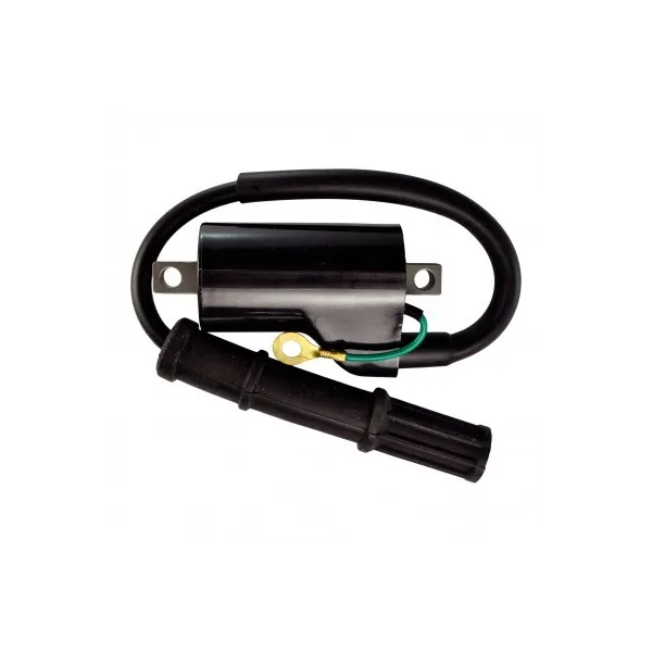 External Ignition Coil