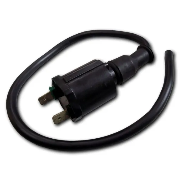 External Ignition Coil