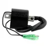 External Ignition Coil