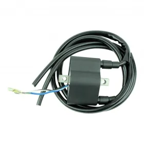 Bobine HT-Arctic Cat-Puma-ZR-EXT-EL Tigre-Lynx-Pantera-Panther-Jag-Wildcat-Cheetah-Cougar