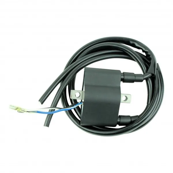 External Ignition Coil-Arctic Cat-Puma-ZR-EXT-EL Tigre-Lynx-Pantera-Panther-Jag-Wildcat-Cheetah-Cougar