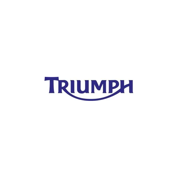 Stator-Triumph-Daytona 675