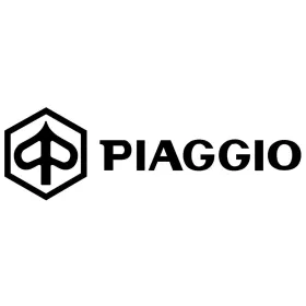 Starter Motor-Piaggio-Beverly 125-250-300-Carnaby 300-MP3 250-300-X7 125-250-X8 250-X9 250