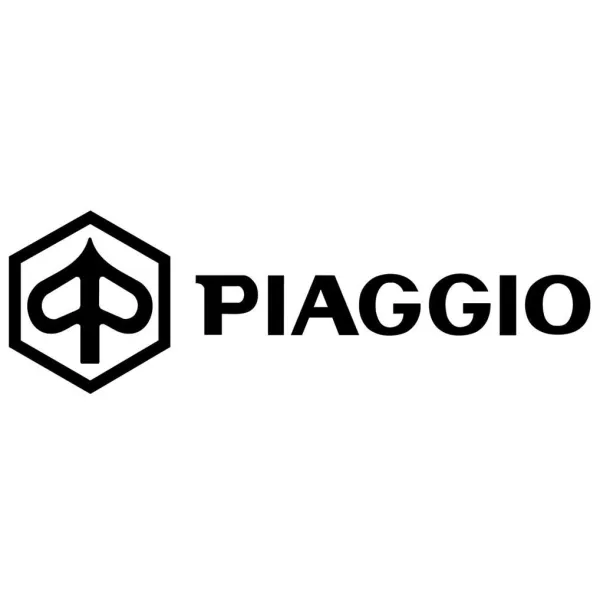 Démarreur-Piaggio-Beverly 125-250-300-Carnaby 300-MP3 250-300-X7 125-250-X8 250-X9 250