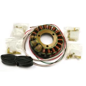 Stator Alternateur Yamaha TDR250