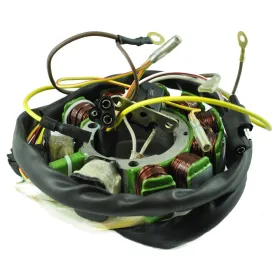 Allumage Alternateur Stator Polaris Worker 500