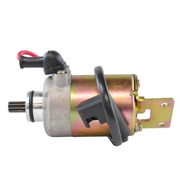 Starter Motor-Polaris-200 Phoenix