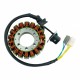 Stator Arctic Cat 250 300