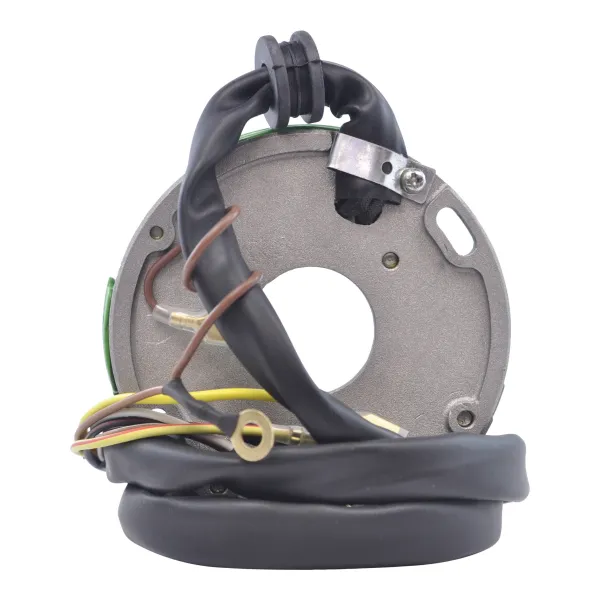 Alternateur Stator Allumage Polaris Xplorer 250 Trail Blazer 250 Big Boss 250 Trail Boss 250