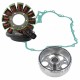 Alternateur Stator Volant Magnétique Rotor SkiDoo Expedition Grand Touring GSX GTX MX Z MX ZX Renegade 1200