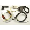 Kit Allumage Eclairage Stator Bobine HT Régulateur Yamaha TT500 XT500