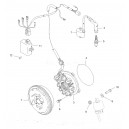 Volant Magnétique Rotor Polaris Trail Blazer 330 Trail Boss 330 ATP 330 Magnum 330 3087251