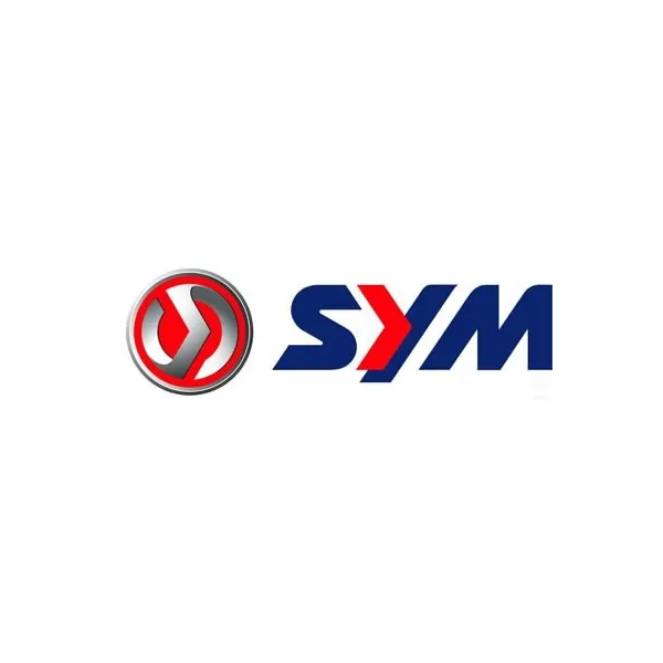 Alternateur Stator Sym 250 Quadlander