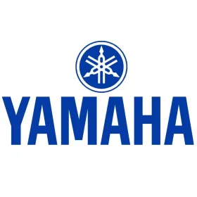 Relay Solenoid-Yamaha-YZFR6-YZFR1-FZ1