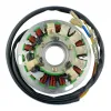 Alternateur Stator Allumage Husqvarna TE 410 TE 510 TE 610