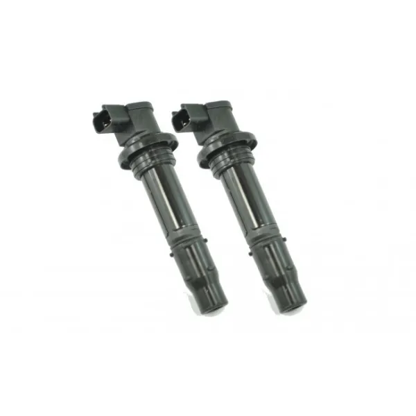 Bobine Allumage Externe HT Yamaha VMAX 1700 FZ1 YZF R6S YZF R6 YZF R1