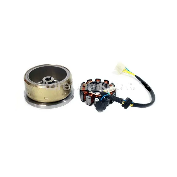 Rotor Volant Magnétique Hyosung Comet GT250 GT250R Aquila Mirage GV250