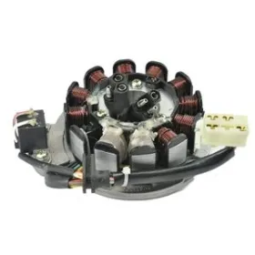 Stator Allumage Polaris 800 Switchback 800 Classic 800Pro 700SKS 700RMK 700XC 800LE 800XC 800RMK
