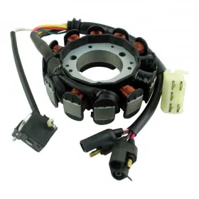 Stator Allumage Polaris Pro X Classic IQ Shift Edge LX Supersport Trail RMK Touring Transport 440 550