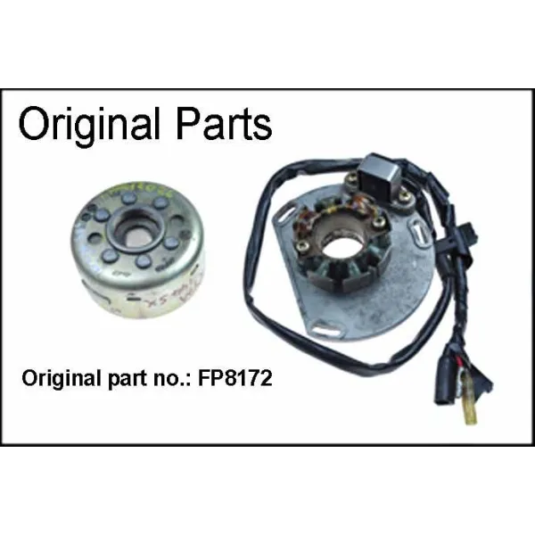 Kit Allumage Stator Rotor Régulateur Gas Gas SM125 EC200 EC250 SM250 EC300 Wild HP 300 