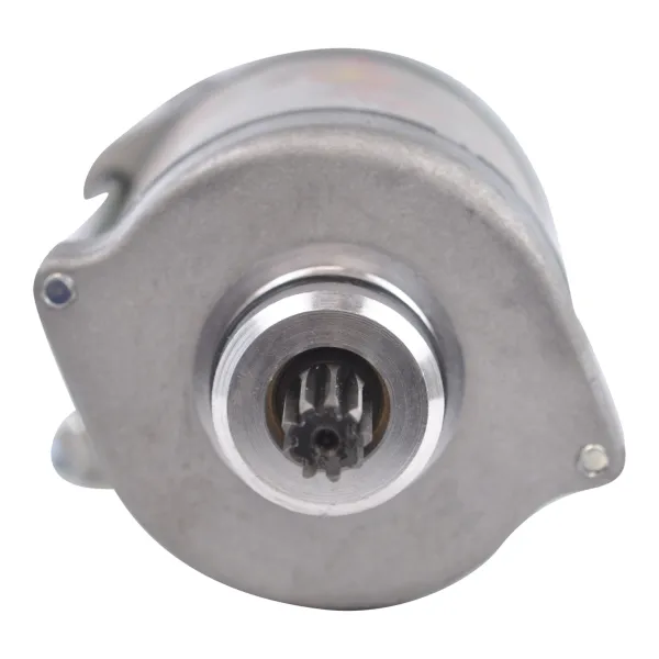 Starter Motor Eton 250 Vector