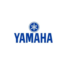 External Coil Yamaha YFZ 450 R X 2009-2017 OEM 18P-82310-00-00