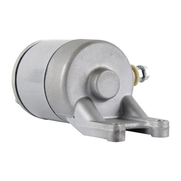 Starter Motor Suzuki DR250SE DR350SE