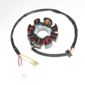 Alternateur Stator Allumage Husaberg FE450 FS450 FE550 FE650 FS650