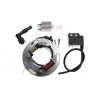 Kit Allumage Eclairage Stator Bobine HT Régulateur Yamaha TT500 XT500
