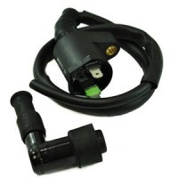 Bobine Haute Tension Polaris Phoenix 200 Sawtooth 200