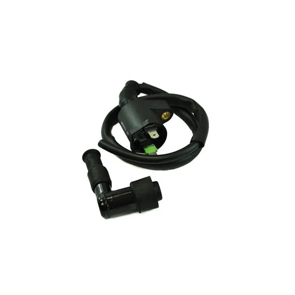 External Ignition Coil Polaris Phoenix 200 Sawtooth 200