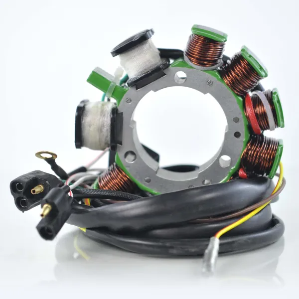 Kit Stator Flywheel Rotor Polaris Magnum 500 1999-2000