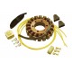 Alternateur Stator Ducati Superbike 996 2000