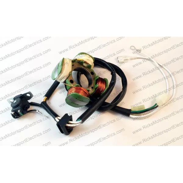 Stator Kawasaki KLX125 Suzuki DRZ125