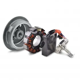 Kit Alternateur Stator Volant Moteur Extracteur Kit Conversion AC DC Polaris Magnum 500 Ranger 500 2003