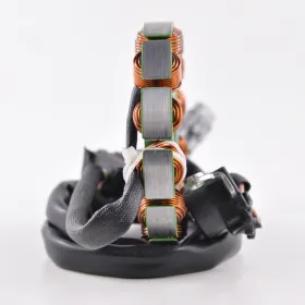 Stator Yamaha WR250F OEM 5UM-81410-10-00