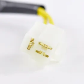 Stator Kawasaki EX Ninja 250R ZL250 Eliminator