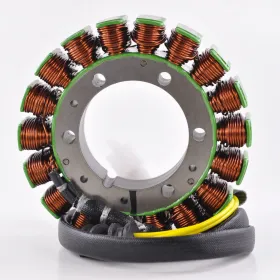 Alternateur Stator Allumage Honda VT600 Shadow VT600 Delux