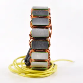 Alternateur Stator Allumage Honda CBR1100XX Super BlackBird 1999-2003