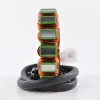 Alternateur Stator Allumage Kawasaki ZX14 Ninja