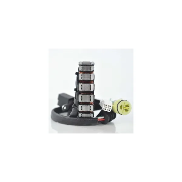Allumage Alternateur Stator Yamaha 250 Bruin
