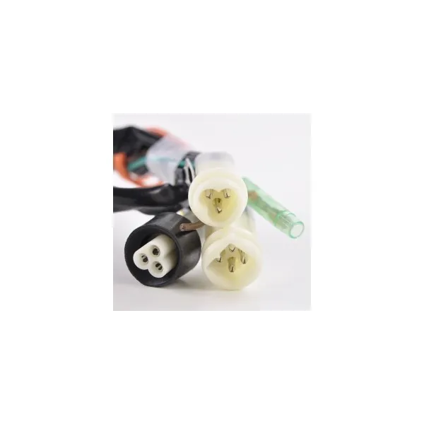 Boitier CDI Yamaha 350 Big Bear