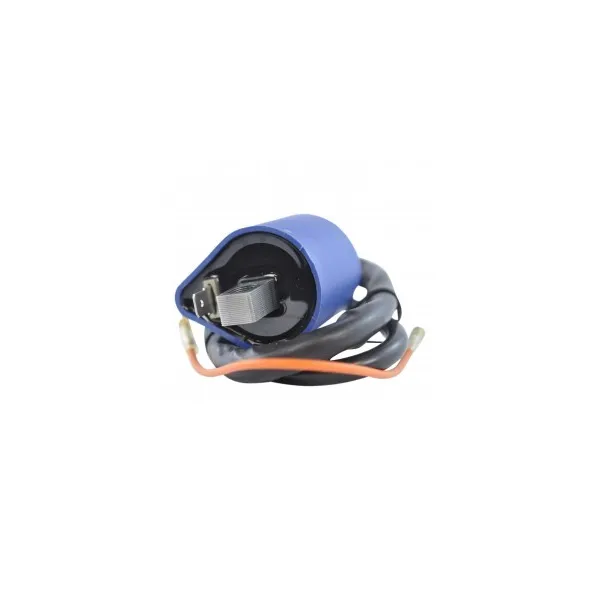 External Ignition Coil Suzuki 500 Quadmaster