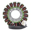 Alternateur Stator Triumph Speed Triple 955 OEM T1300111 T1300509 T1300610 
