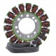 Alternateur Stator Triumph Speed Triple 955 OEM T1300111 T1300509 T1300610 