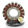 Stator Kawasaki Ninja ZX6R Ninja ZX6RR Z750 Z1000 OEM 21003-0001
