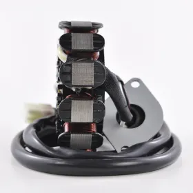 Alternateur Stator Yamaha Waverunner XLT1200 Waverunner GP1200  Waverunner XL1200 OEM 66V-85510-00-00